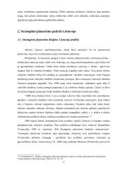 Planavimo metodologijos  12 puslapis