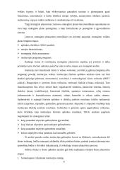 Planavimo metodologijos  14 puslapis
