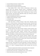 Planavimo metodologijos  15 puslapis