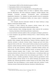 Planavimo metodologijos  16 puslapis