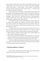Planavimo metodologijos  18 puslapis