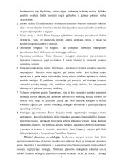 Planavimo metodologijos  4 puslapis