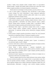 Planavimo metodologijos  5 puslapis