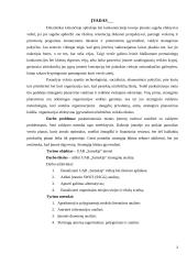 UAB „Samskip“ strateginė analizė  2 puslapis