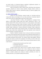 UAB „Samskip“ strateginė analizė  15 puslapis