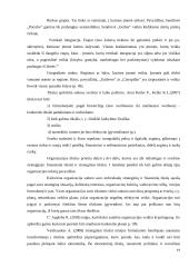 UAB „Samskip“ strateginė analizė  19 puslapis