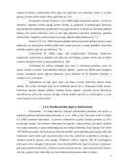 UAB „Samskip“ strateginė analizė  6 puslapis