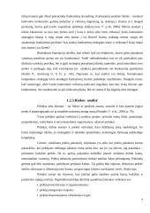 UAB „Samskip“ strateginė analizė  9 puslapis