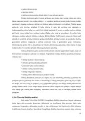 UAB „Samskip“ strateginė analizė  10 puslapis