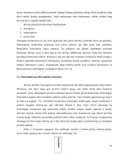 UAB "Samskip" strateginė analizė  17 puslapis