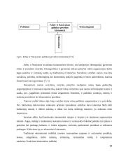 UAB "Samskip" strateginė analizė  18 puslapis