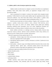 UAB "Samskip" strateginė analizė  10 puslapis