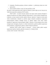 UAB "Granulita" veiklos strategijos kūrimas ir įgyvendinimas  17 puslapis