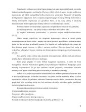 UAB "Granulita" veiklos strategijos kūrimas ir įgyvendinimas  8 puslapis