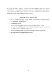  Praktikos UAB „Granulita“ ataskaita 9 puslapis