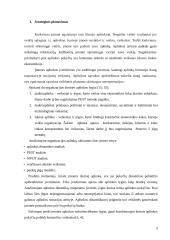 Strateginis planavimas organizacijoje 3 puslapis