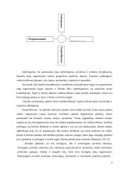 Strateginis planavimas organizacijoje 4 puslapis