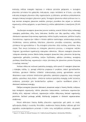 Strateginis valdymas ir planavimas 11 puslapis