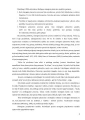 Strateginis valdymas ir planavimas 8 puslapis