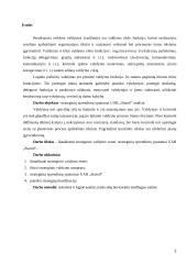 Strateginių sprendimų ypatumai "UAB Statoil Lietuva"  2 puslapis