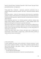 Strateginių sprendimų ypatumai "UAB Statoil Lietuva"  12 puslapis