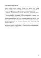 Strateginių sprendimų ypatumai "UAB Statoil Lietuva"  13 puslapis