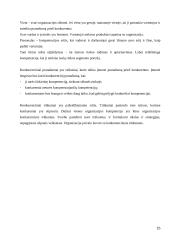 Strateginių sprendimų ypatumai "UAB Statoil Lietuva"  15 puslapis