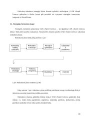 Strateginių sprendimų ypatumai "UAB Statoil Lietuva"  20 puslapis