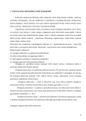 Strateginių sprendimų ypatumai "UAB Statoil Lietuva"  3 puslapis