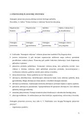Strateginių sprendimų ypatumai "UAB Statoil Lietuva"  5 puslapis