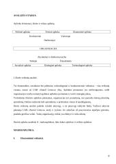 Strateginių sprendimų ypatumai "UAB Statoil Lietuva"  9 puslapis