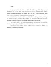 Vadovo veiklos planavimas  2 puslapis