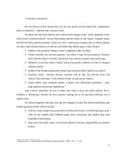 Vadovo veiklos planavimas  12 puslapis