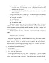 Vadovo veiklos planavimas  13 puslapis