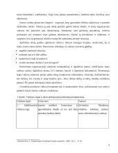 Vadovo veiklos planavimas  14 puslapis