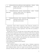 Vadovo veiklos planavimas  15 puslapis