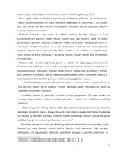 Vadovo veiklos planavimas  17 puslapis