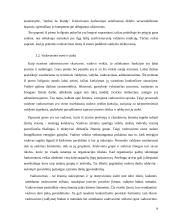 Vadovo veiklos planavimas  19 puslapis