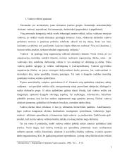 Vadovo veiklos planavimas  3 puslapis