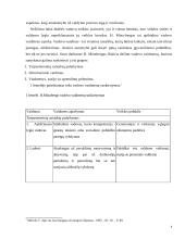 Vadovo veiklos planavimas  4 puslapis