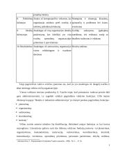 Vadovo veiklos planavimas  6 puslapis