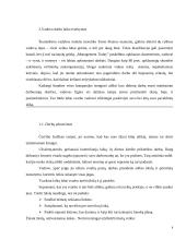 Vadovo veiklos planavimas  8 puslapis