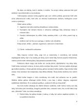 Vadovo veiklos planavimas  10 puslapis