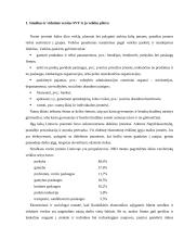 Individualios įmonės vystymas 2 puslapis