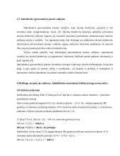 Individualios įmonės vystymas 11 puslapis