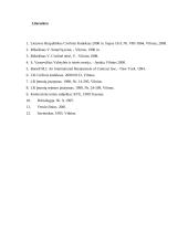 Individualios įmonės vystymas 13 puslapis