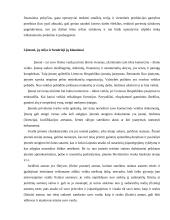 Individualios įmonės vystymas 3 puslapis