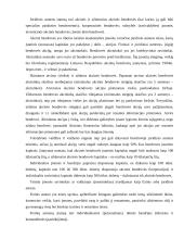 Individualios įmonės vystymas 4 puslapis