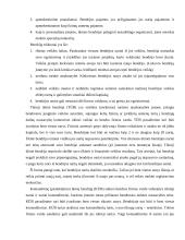 Individualios įmonės vystymas 6 puslapis