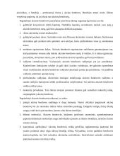 Individualios įmonės vystymas 7 puslapis